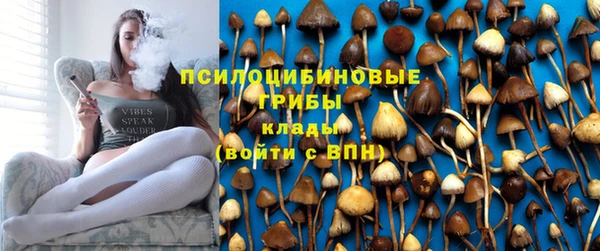 ALPHA PVP Волосово