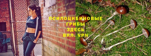 альфа пвп Волоколамск