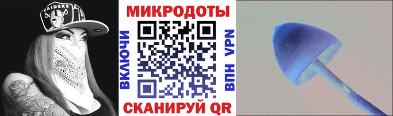 Псилоцибиновые грибы ЛСД  Купить  Лесной 